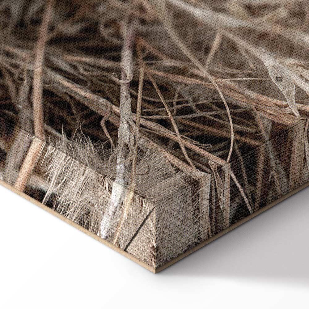 Leinwandbild - Delicate Bunch (1 Part) Vertical