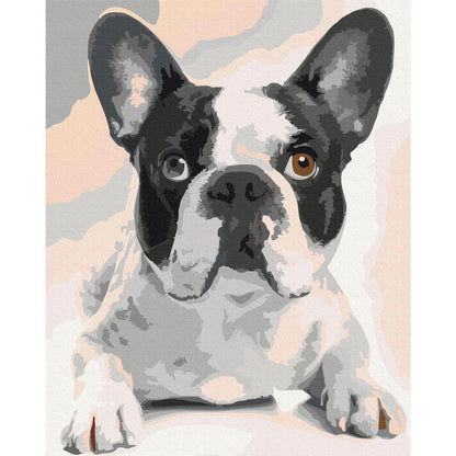 Malen nach Zahlen - French Bulldog