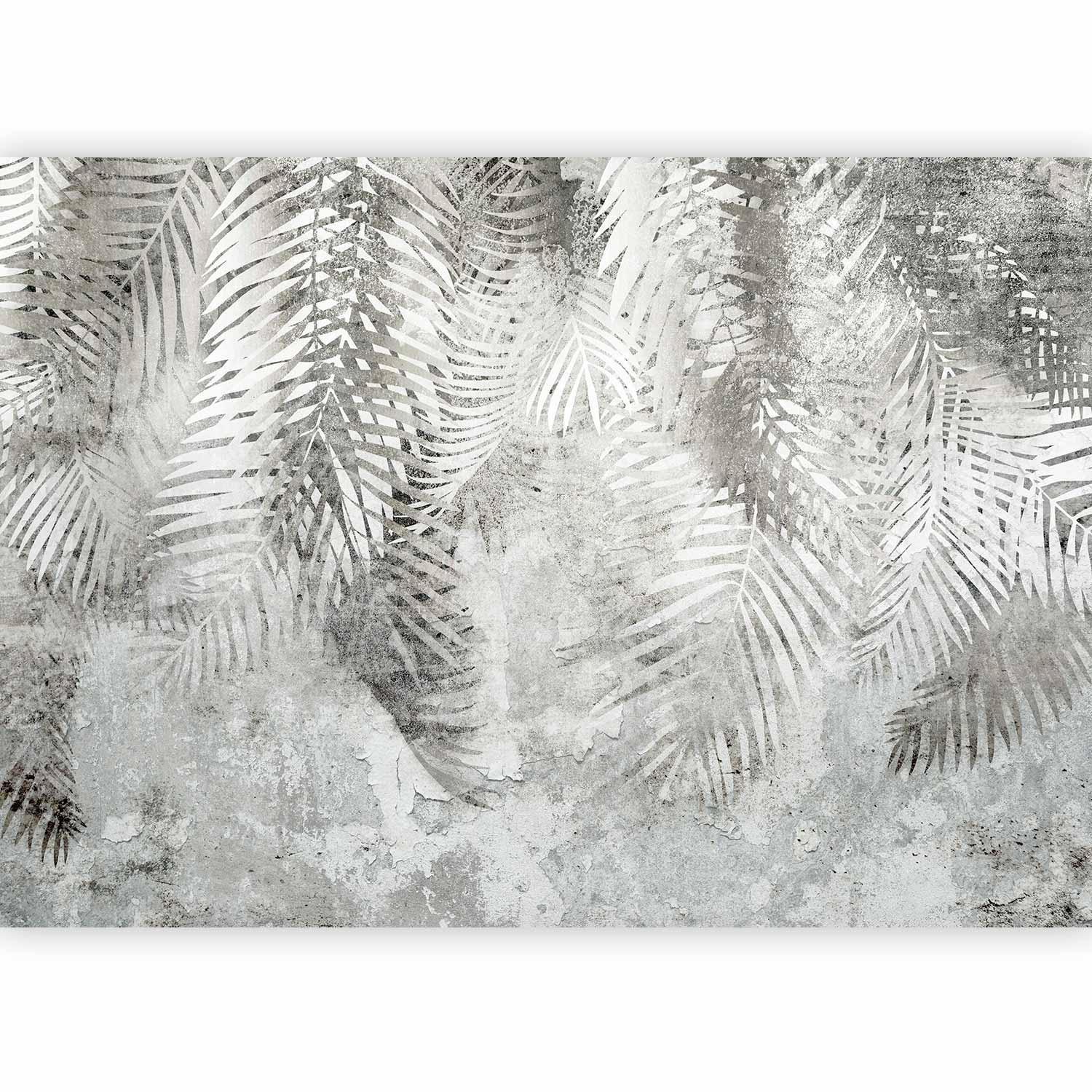 Fototapete - Licht und Schatten – grau-weiße Komposition mit floralem Motiv und Muster Artgeist