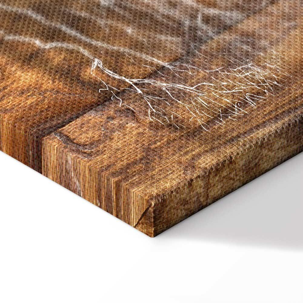 Leinwandbild - Tree Chronicle