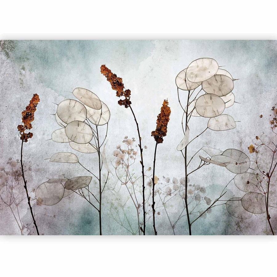Fototapete - Lunaria in the Meadow Artgeist
