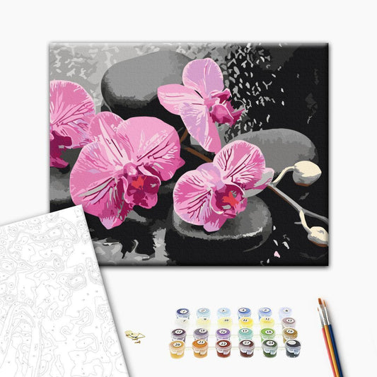 Malen nach Zahlen - Orchid With Zen Stones (Black Background)