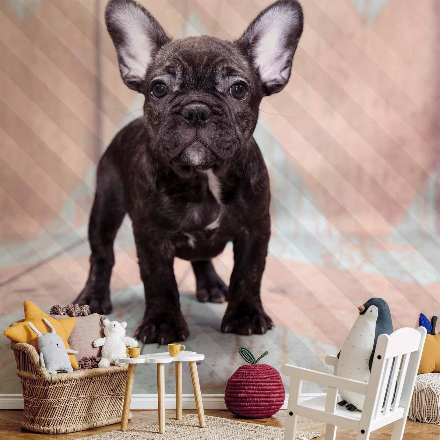 Fototapete - French Bulldog Artgeist