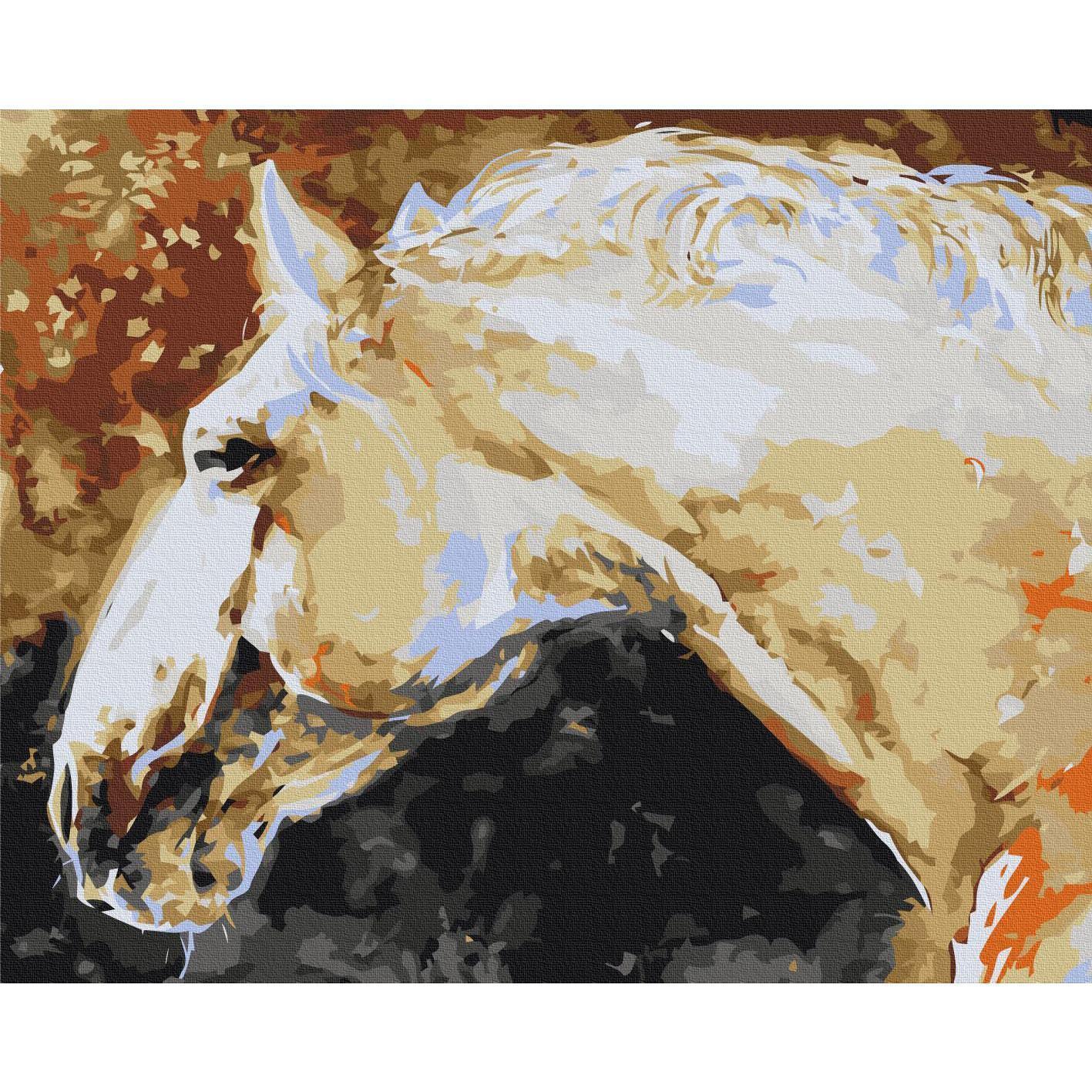 Malen nach Zahlen - White Horse