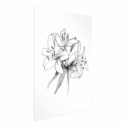 Poster - Drawn Flowers