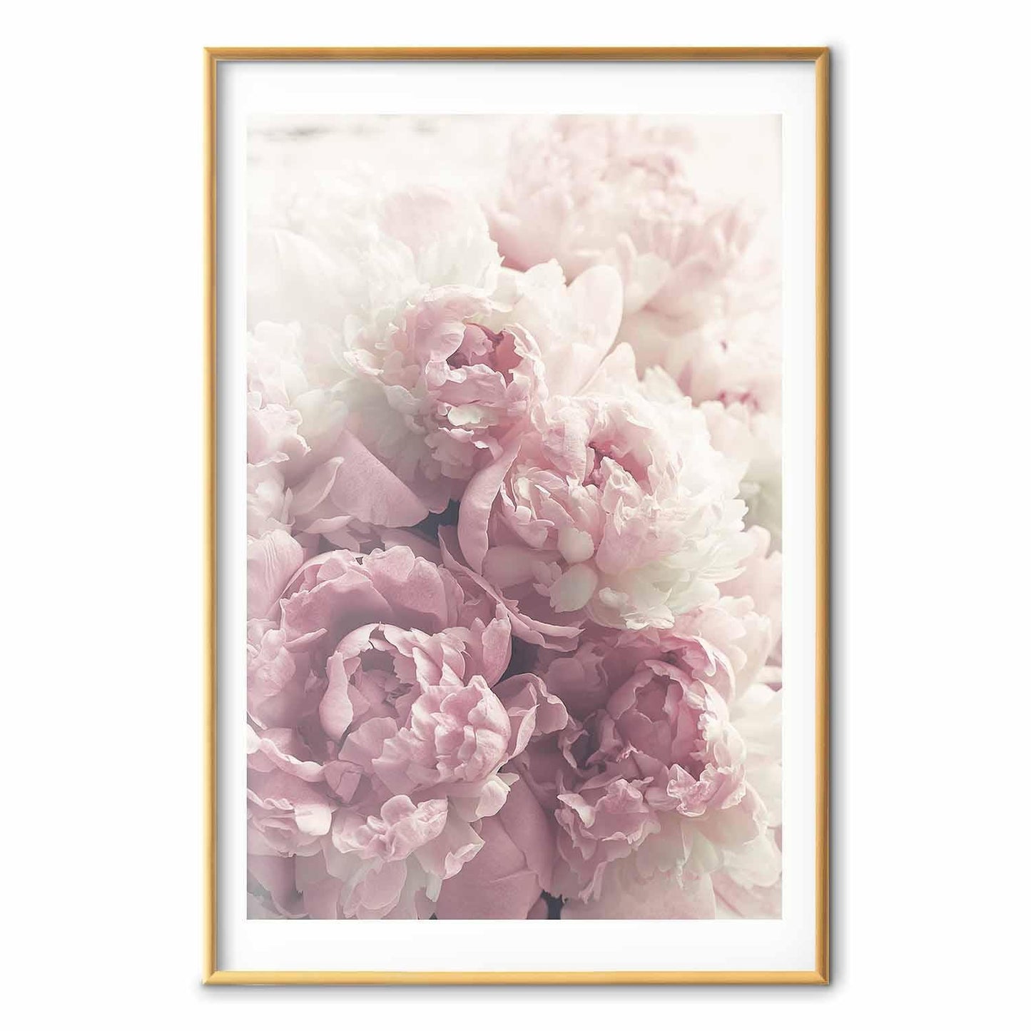 Poster - Delicate Peonies
