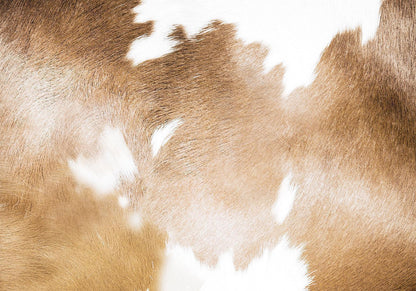 Fototapete - Cow Patches Artgeist