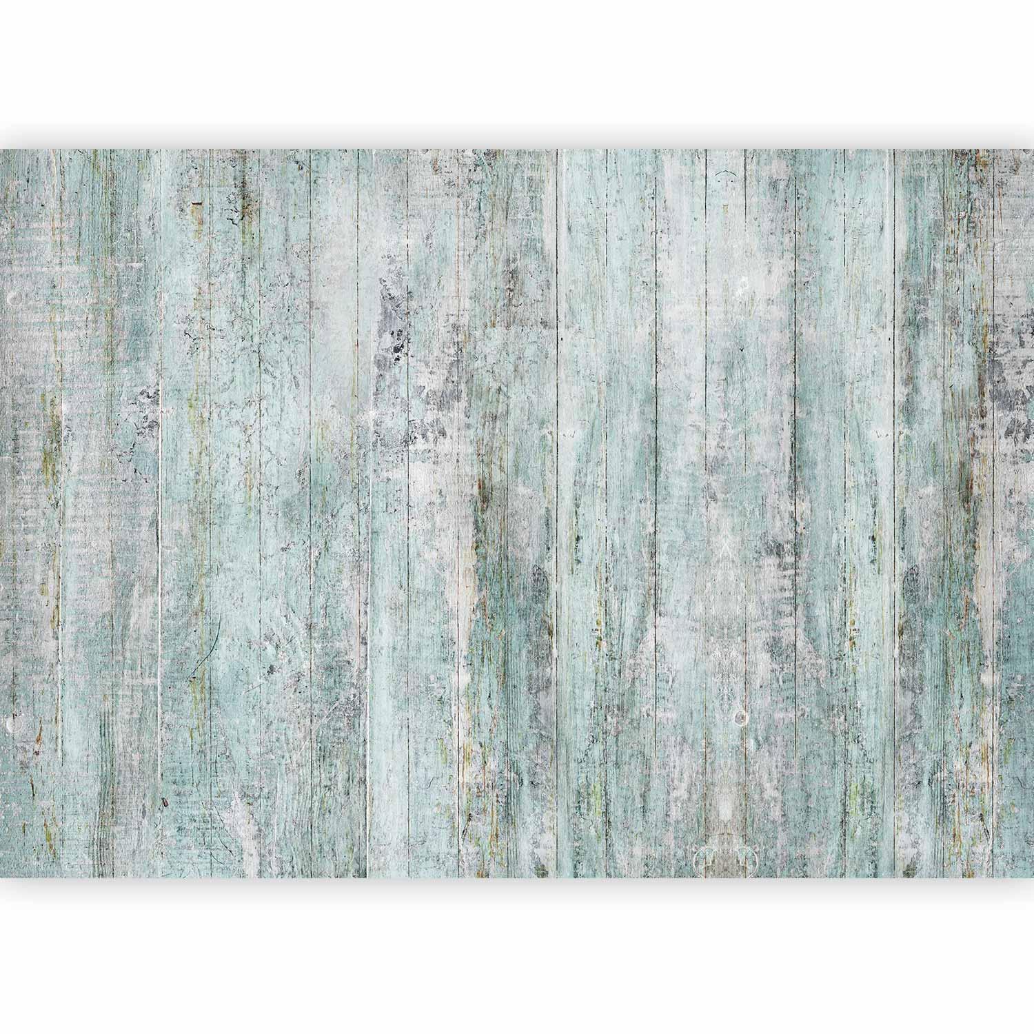 Fototapete - Rustic Textures - First Variant Artgeist