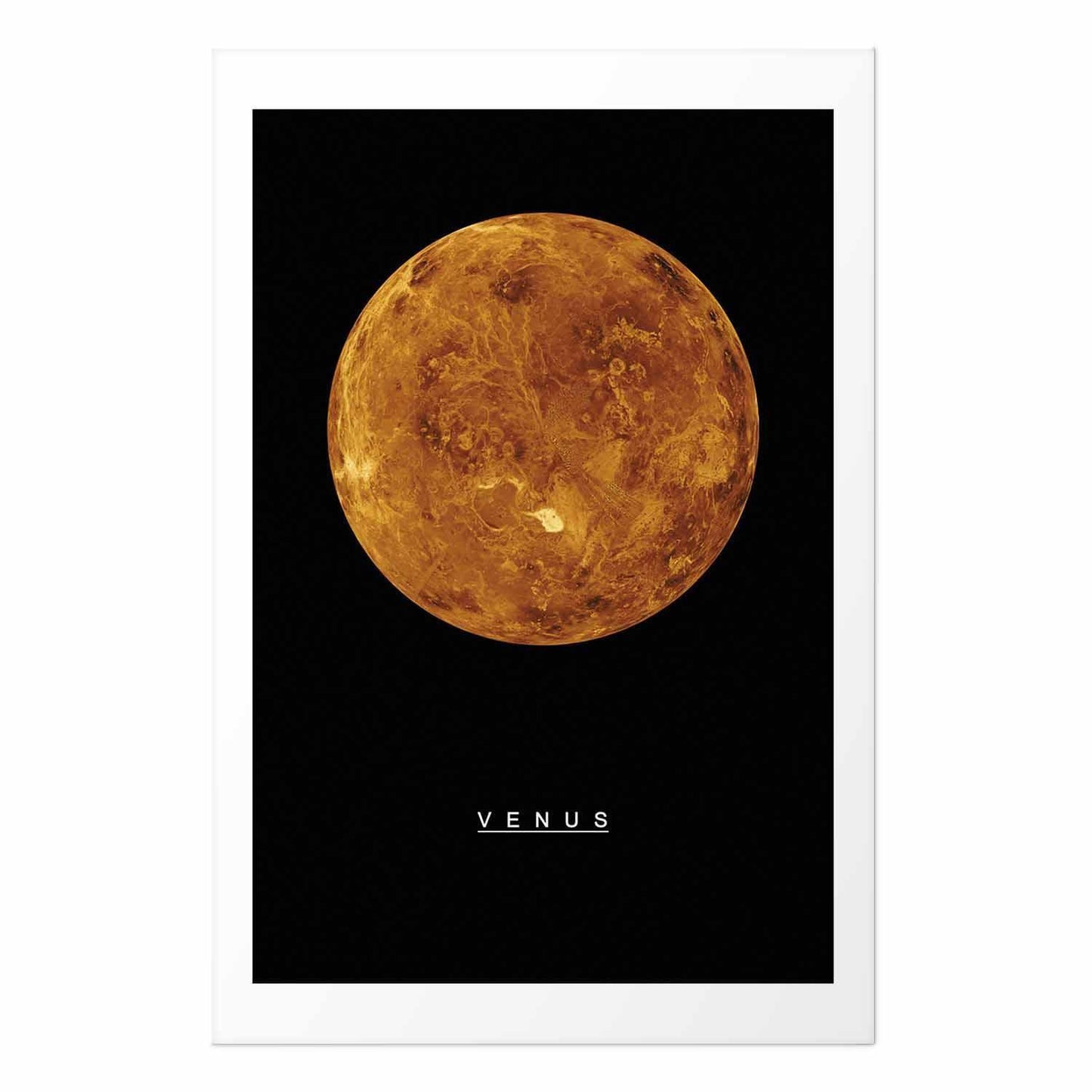 Poster - Venus