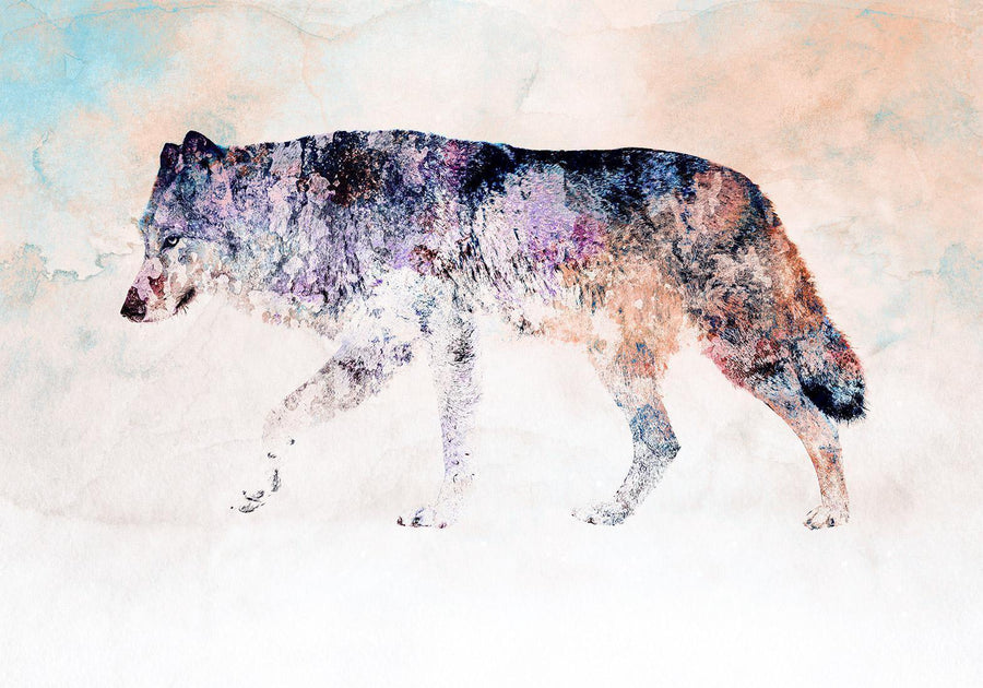 Fototapete Einsamer Wolf – Mystische Naturstimmung für starke Räume Sawelt