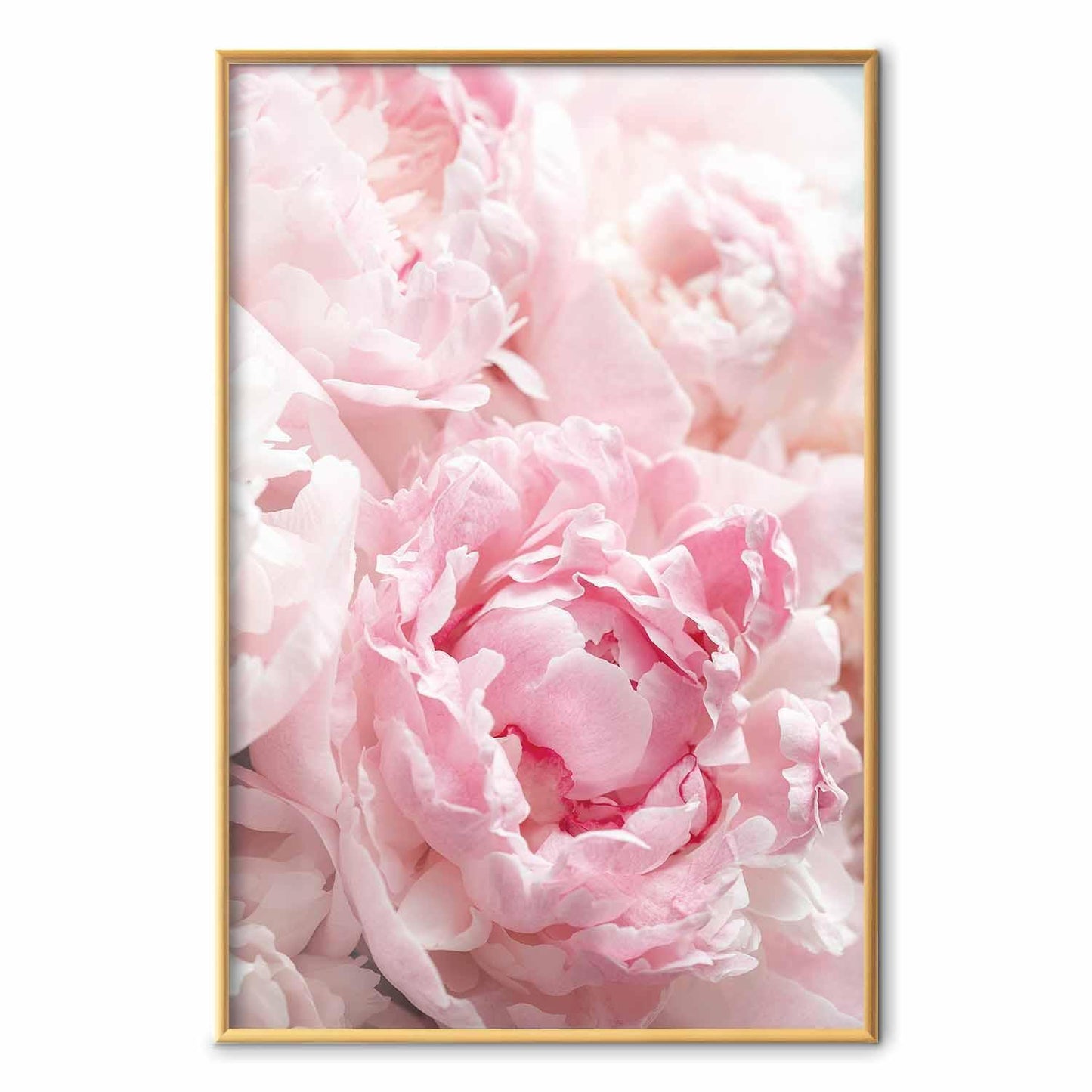 Poster - Morning Nostalgia