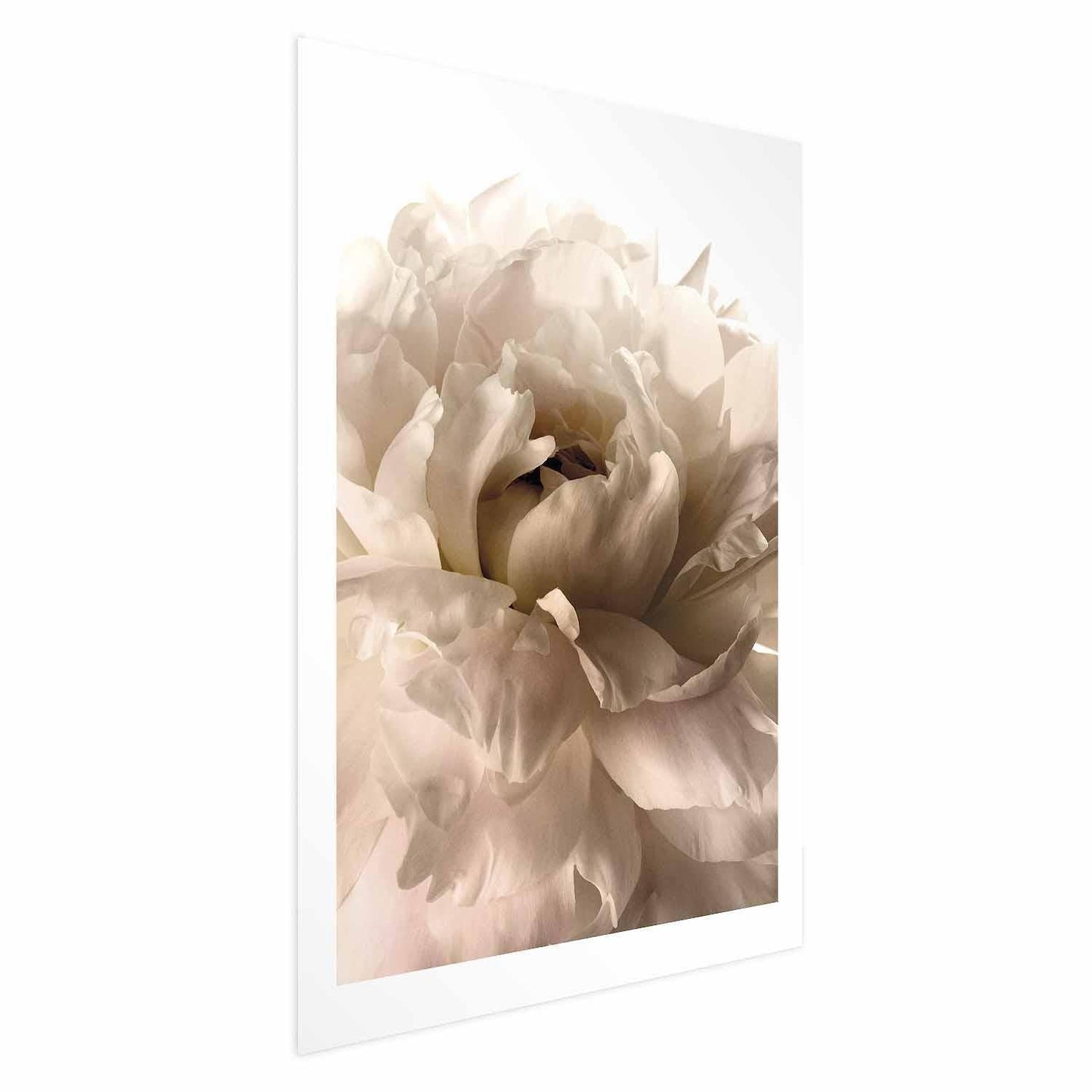 Poster - Soft Petals Artgeist