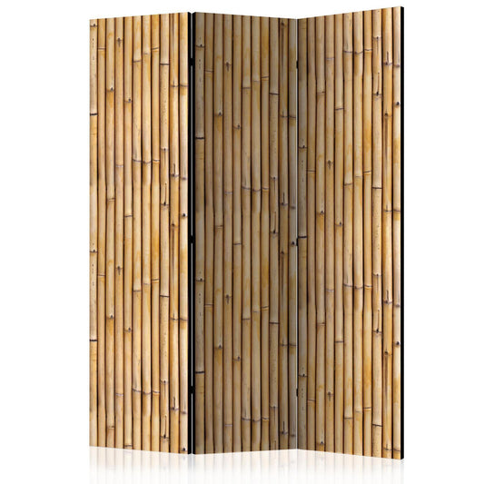 Paravent - Amazonian Wall Artgeist