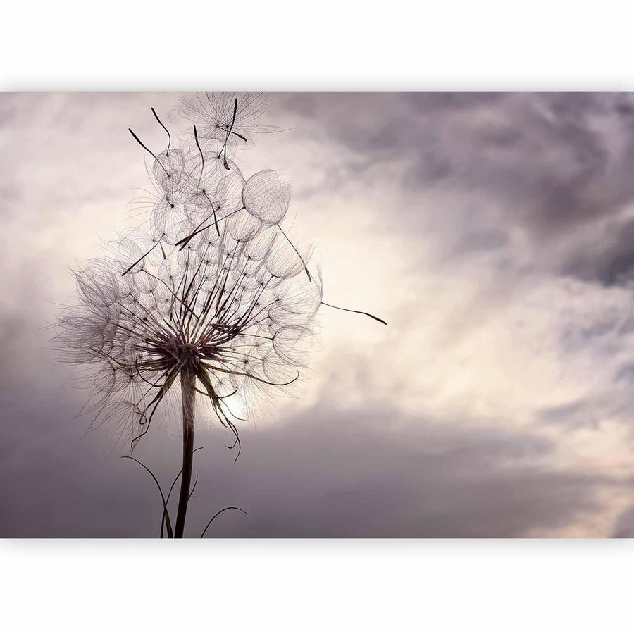 Fototapete „Sanfter Wind“ – Eleganz und Leichtigkeit für Ihr Zuhause