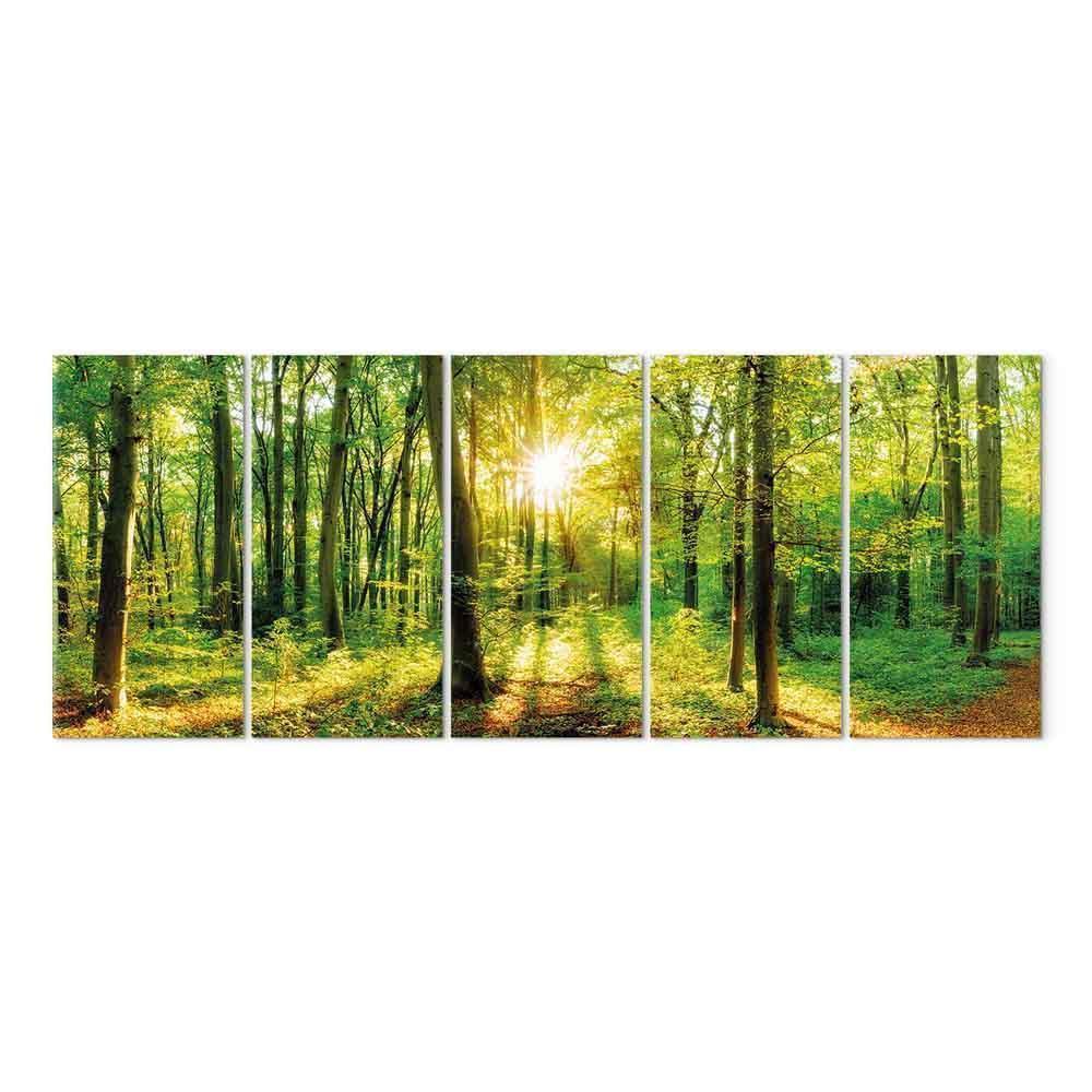 Leinwandbild - Magic Forest