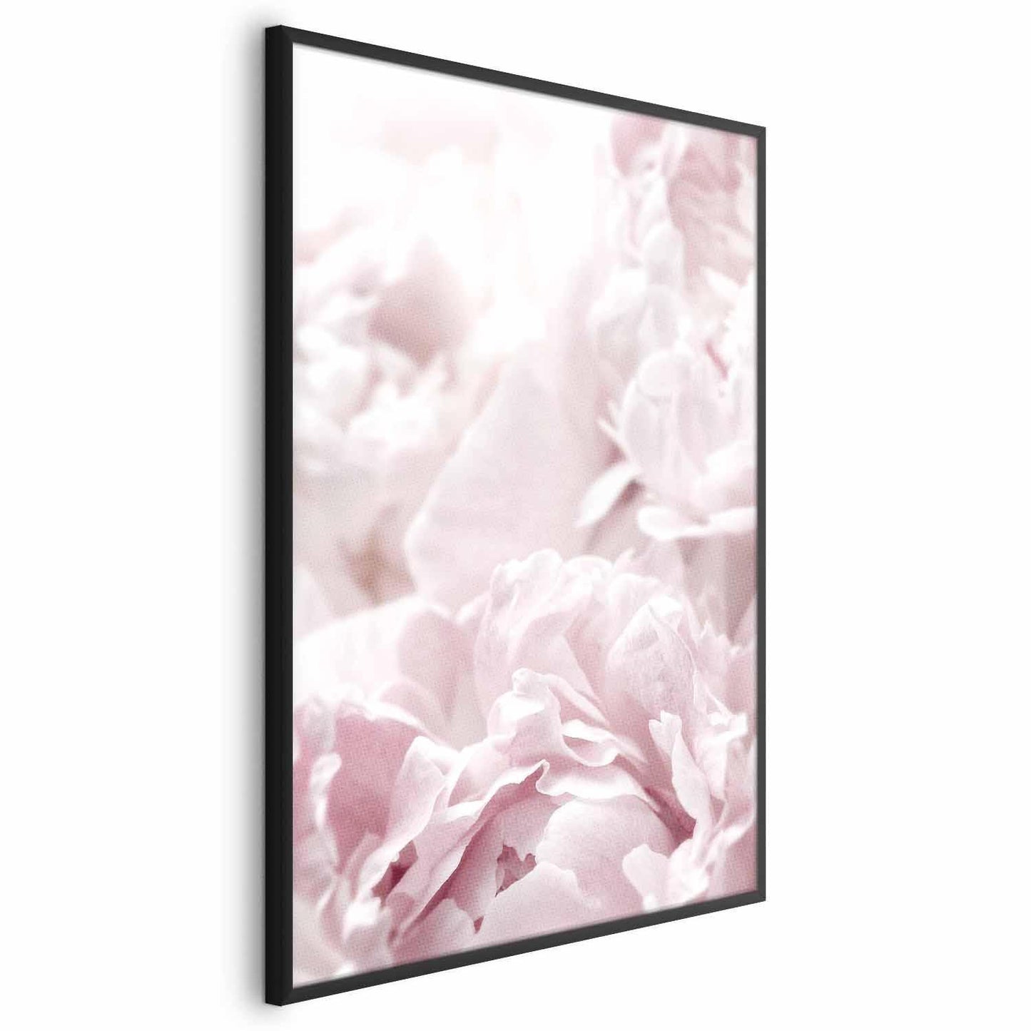 Poster - Fluffy Peonies