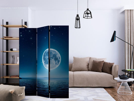 Paravent - Moonlit night Artgeist