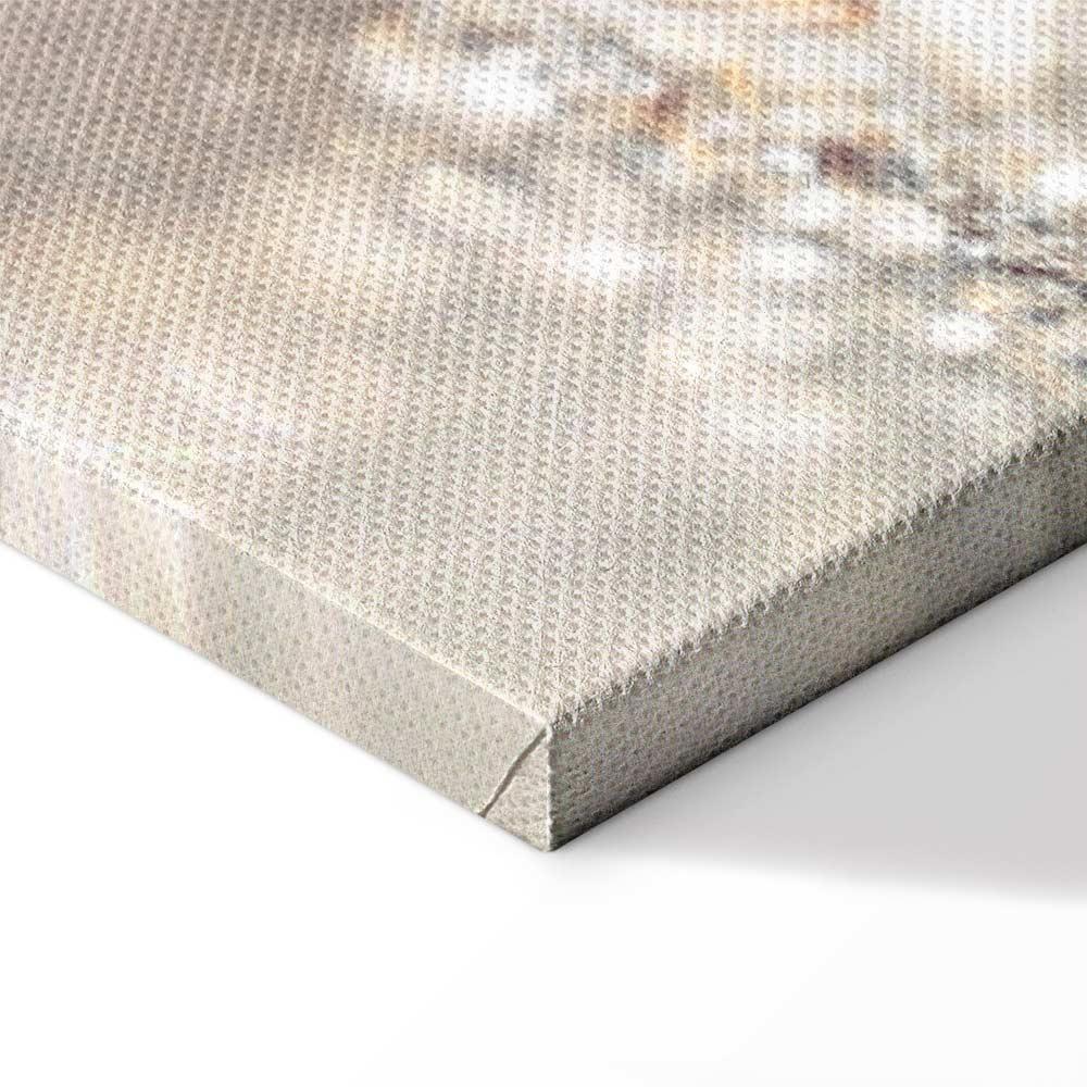 Leinwandbild - Winter Princess