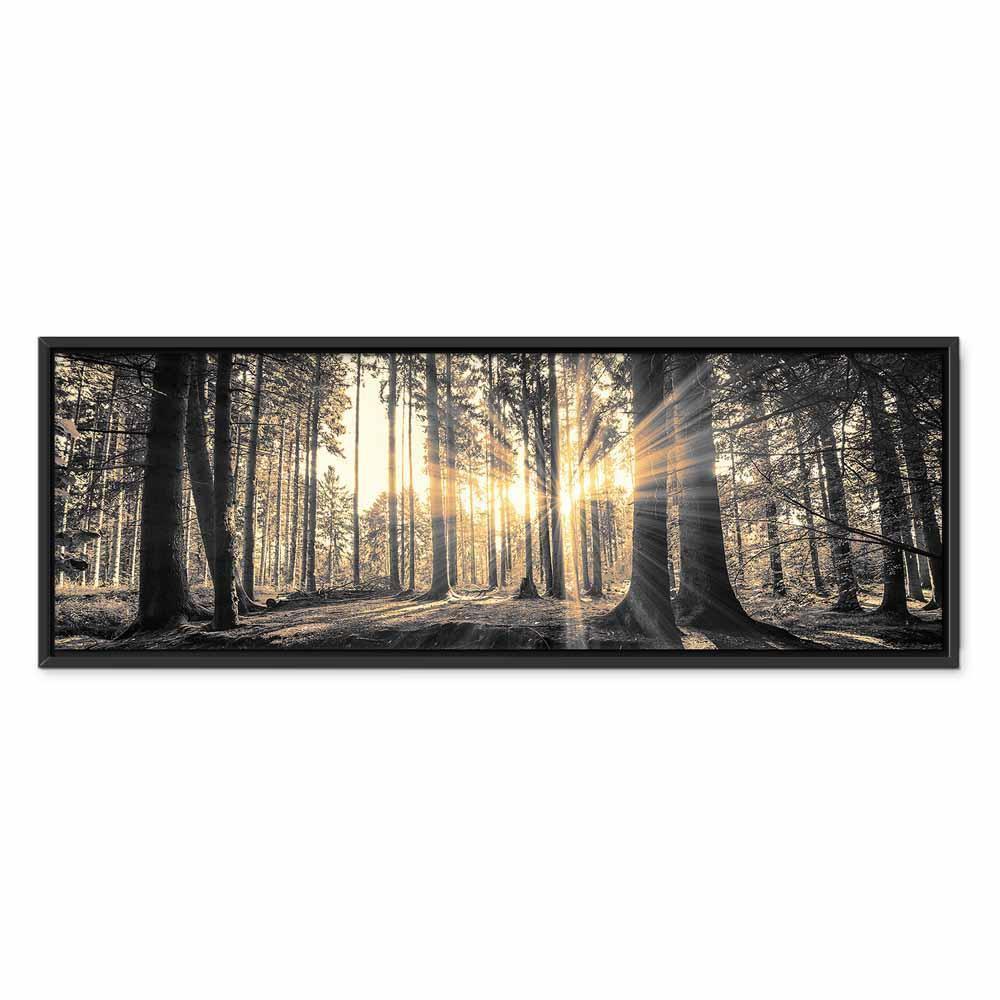 Leinwandbild - Forest Sun