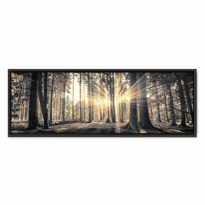 Leinwandbild - Forest Sun