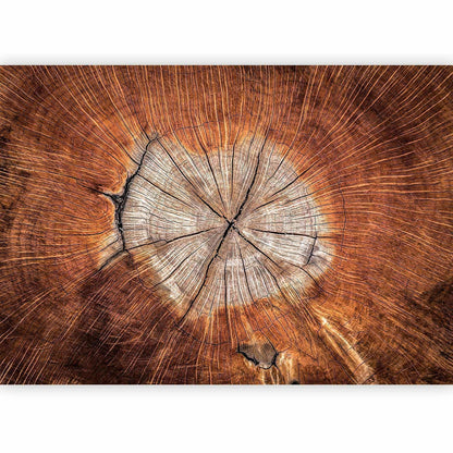 Fototapete - The Soul of a Tree Artgeist