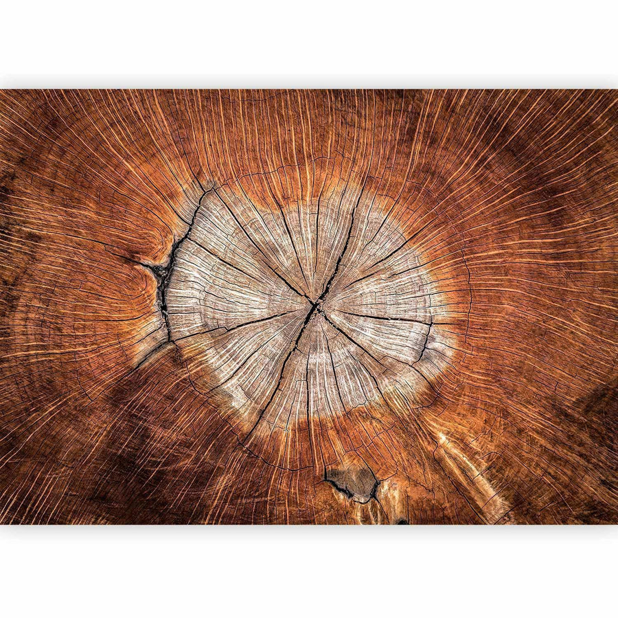 Fototapete - The Soul of a Tree Artgeist