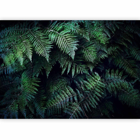 Fototapete – Geheimnisvolles Dickicht mit botanischem Flair