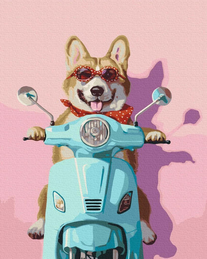 Malen nach Zahlen - Dog on a scooter