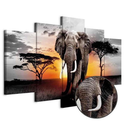 Leinwandbild - Elephant at Sunset