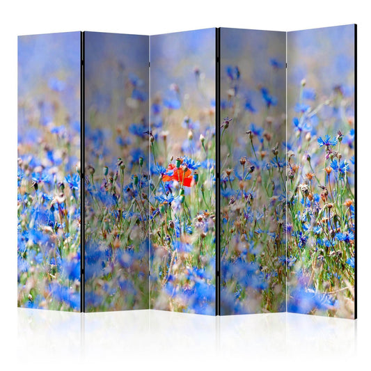 Paravent - A sky-colored meadow - cornflowers II Artgeist