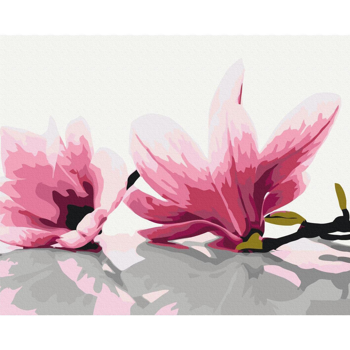 Malen nach Zahlen - Magnolia (White Background)