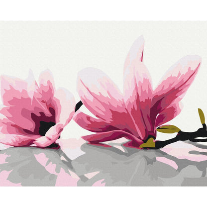 Malen nach Zahlen - Magnolia (White Background)