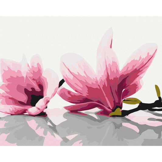 Malen nach Zahlen - Magnolia (White Background)