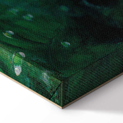 Leinwandbild - John William Waterhouse – Circe Invidiosa