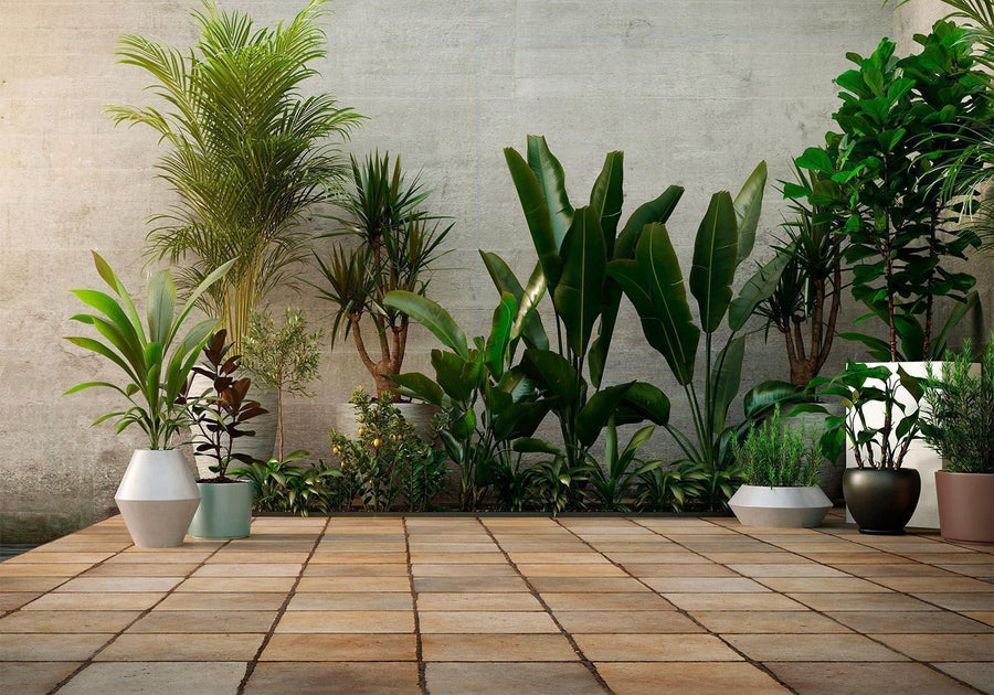 Fototapete - Home Garden Artgeist