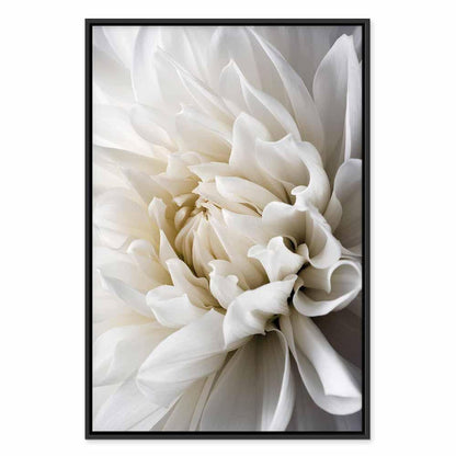 Leinwandbild - White Dahlia